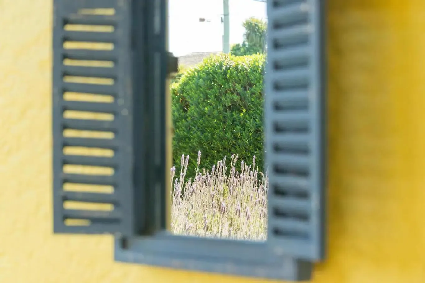 Cosy And Quiet Vintage Retreat Apartment Christchurch New Zealand